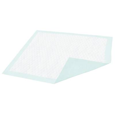 Disposable Underpad Dignity® 23 X 36 Inch Fluff Light Absorbency