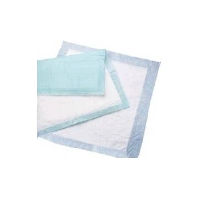 Disposable Underpad Passport™ Deluxe 22 X 24 Inch Fluff Light Absorbency