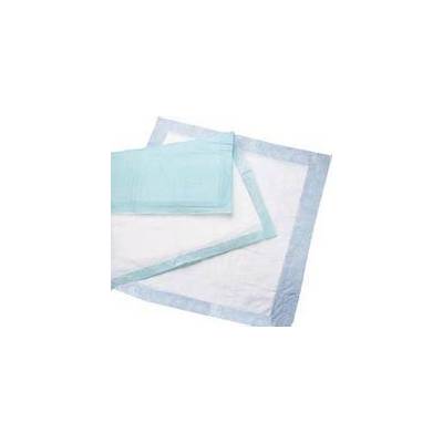 Disposable Underpad Deluxe 17 X 24 Inch Polymer Heavy Absorbency